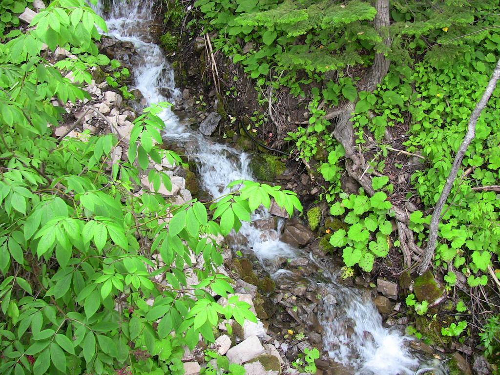 La Source Enchantee Baie-Saint-Paul Room photo